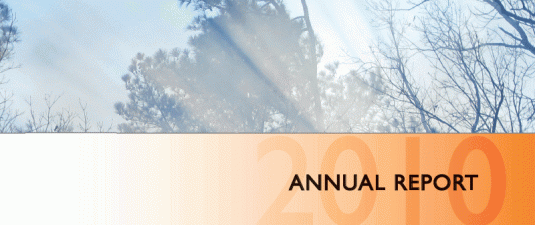 2010 report cover detail