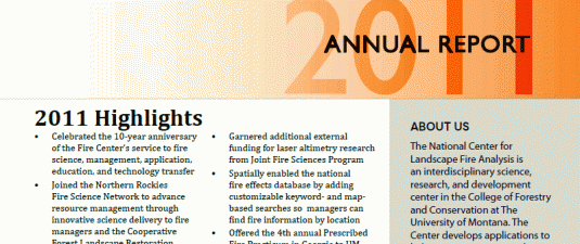 2011 report cover detail