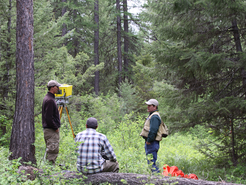 men in woods using ground laser