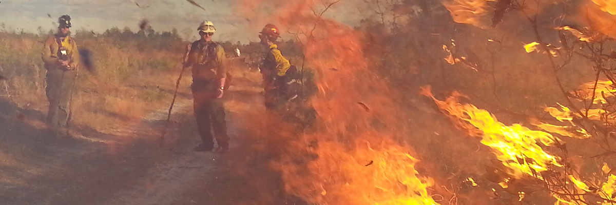 three fire fighters in gear with fire in foreground