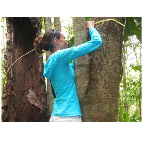 Female student measuring tree's circumference