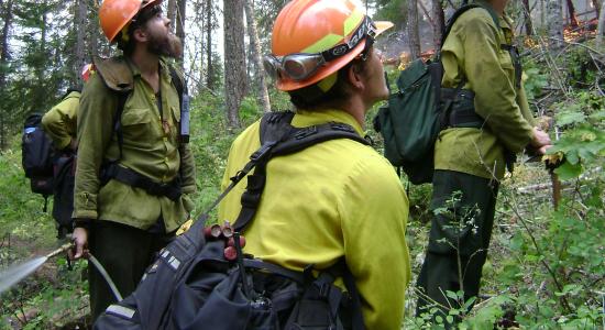 three fire fighters in woods