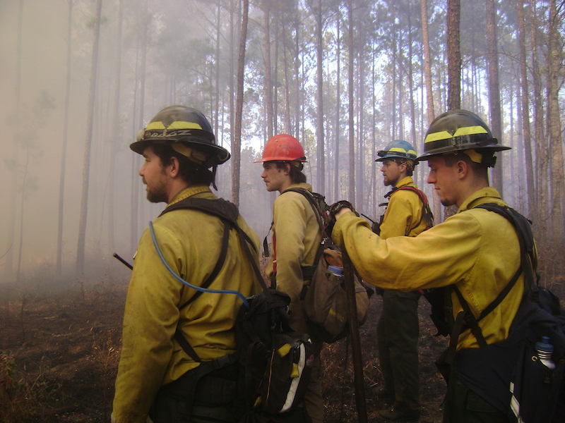 Group watching wildfire